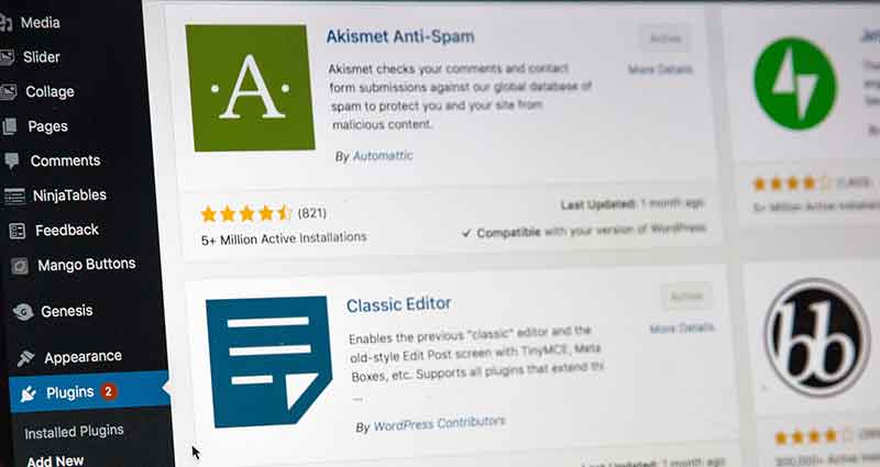 why-your-website-should-be-built-on-wordpress wordpress websites