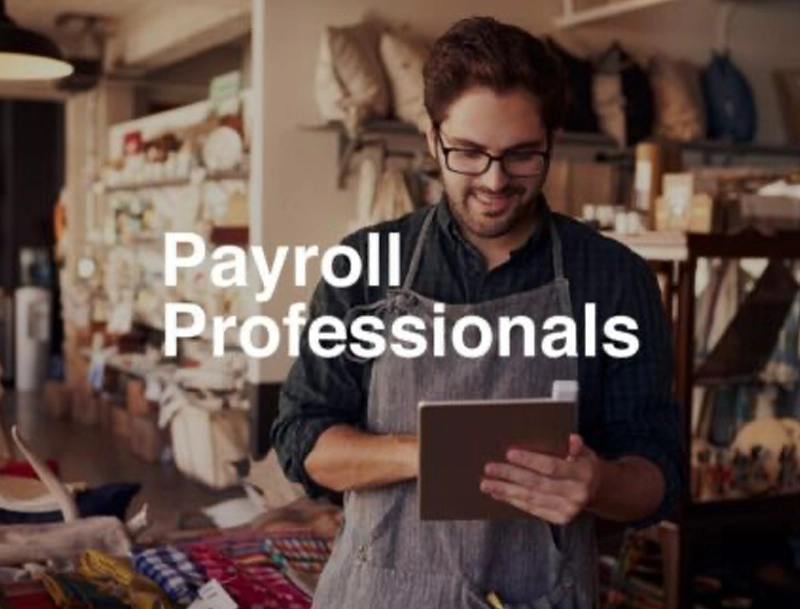 payroll professional cg client