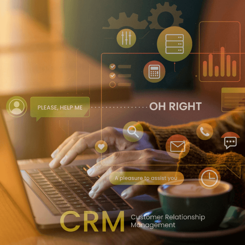 managed website service and support, support working to solve client queries